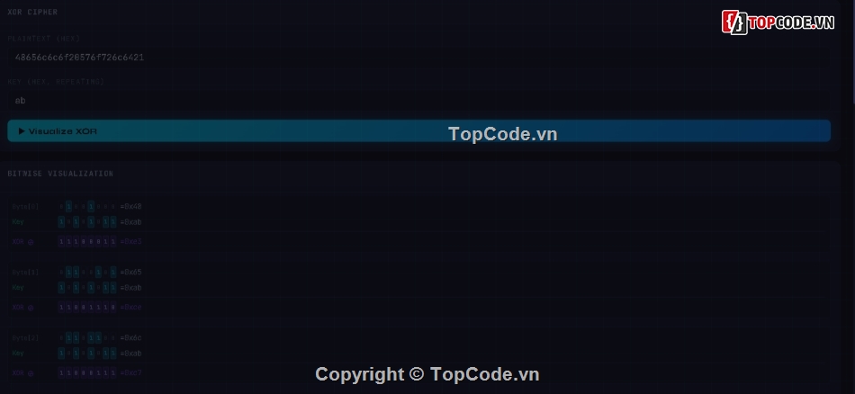 mô phỏng trực quan,python và c++,đồ án bảo mật